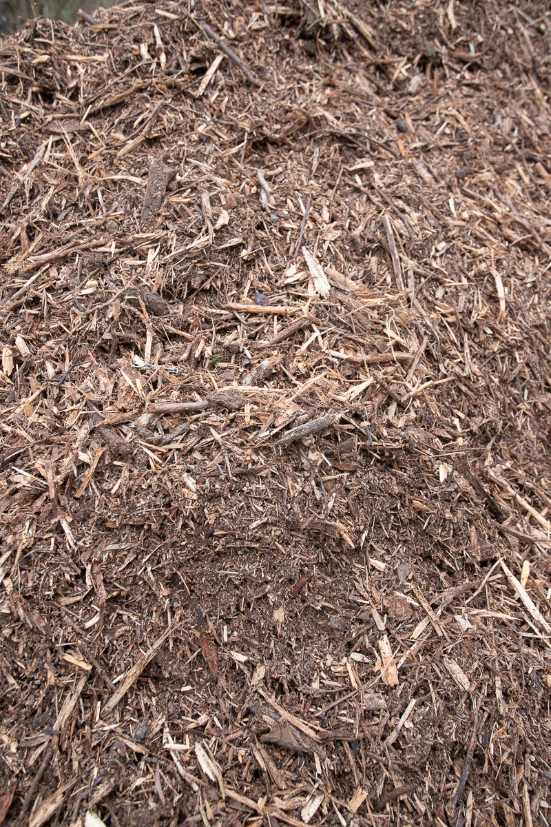 Le broyat de bois au jardin Le jardin qui se mange — free download