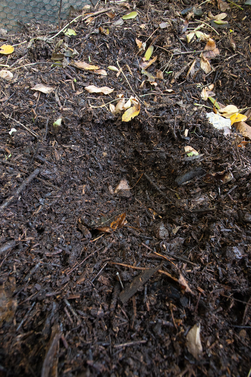Le broyat de bois au jardin Le jardin qui se mange — free download