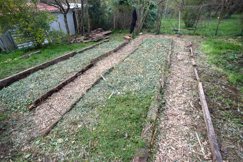 Culture Faire de la culture en lasagne Le jardin qui se mange — free download