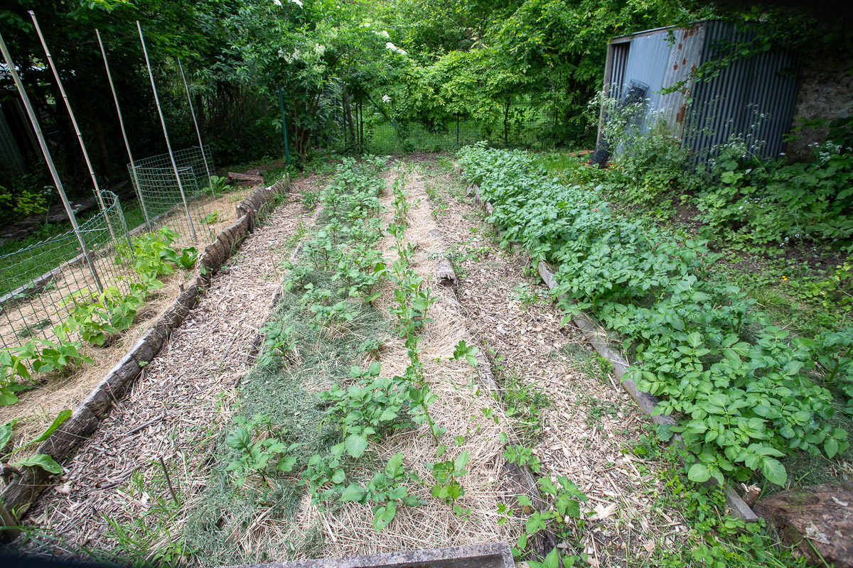 Culture Faire de la culture en lasagne Le jardin qui se mange — free download