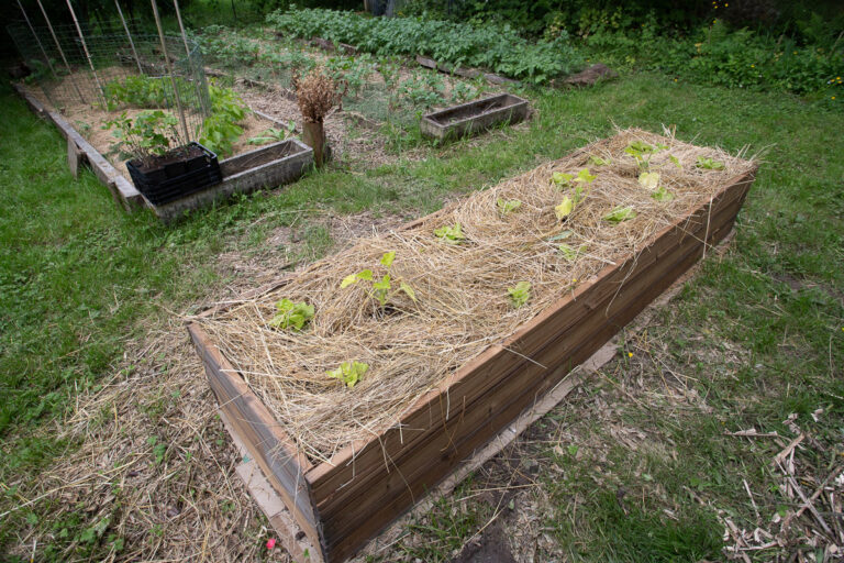 Culture Faire de la culture en lasagne Le jardin qui se mange — free download