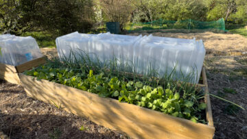 Fabriquer un bac potager en bois